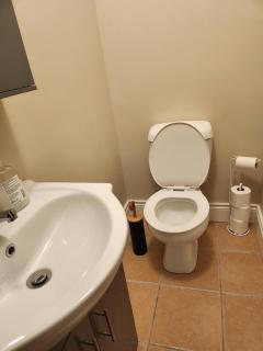 Ballyferriter Dingle seaside beautiful house - 7