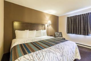 Rodeway Inn - Red Wing - 3