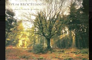 Gîte Le Breizhannais - 2