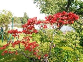 Pension Pichelsdorf - 8