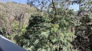 Kamala Beach Area 1BR Rooftop Pool & Gym, Shuttle - 7