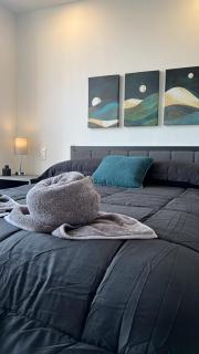 1BR Apt in Roma Sur near Parque Delta - 1