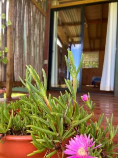 Studio Sunset Rapa Nui - 9