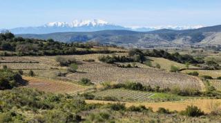 Camping Le Pinada - Maeva - 1