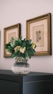 Bamboo & Bird House, Chalandri - 1