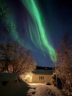 A pearl in Lofoten - 9