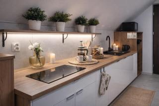 Willa Sowia nowe apartamenty nad górskim potokiem zachwycający widok na góry - 2