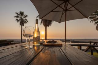 Beachfront Bliss - 1