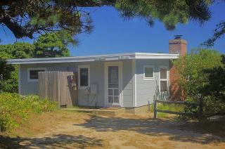 Steps to Lecount Hollow Beach Dogs Welcome - 4