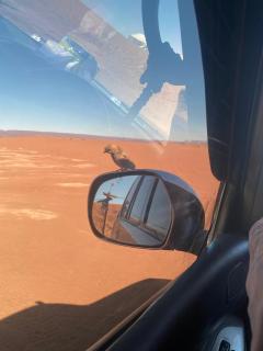 Desert Family Camp - 2