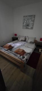 VILA LASOVIC + POOL + JACUZZI + SAUNA - 6