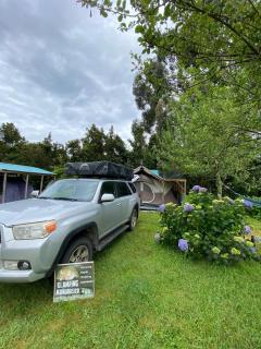 Glamping Mañihueico - 8