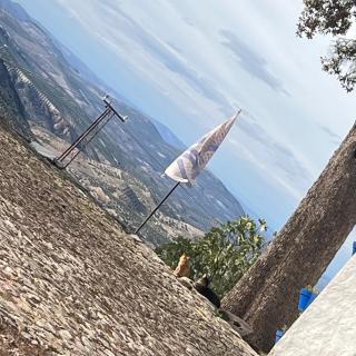 GP Cortijo Palmera - 8