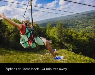 Woodland Retreat - 5