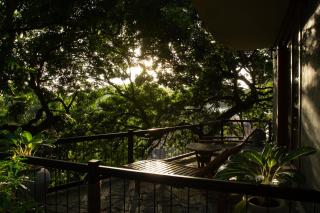 Avalon Villa in the heart of Kandy - 8