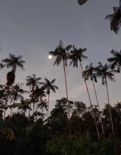 Rancho dos Sonhos - 4