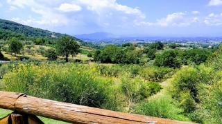 Agriturismo Caprareccia Bianca - 1