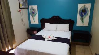 Apart Hotel Pico Bonito - La Ceiba - 9