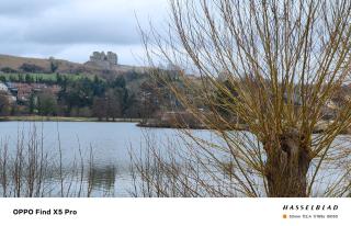 Le cocon normand studio de jardin et son écrin de verdure - 9