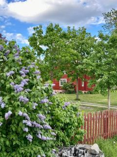 Heritage-listed country cottages - 5