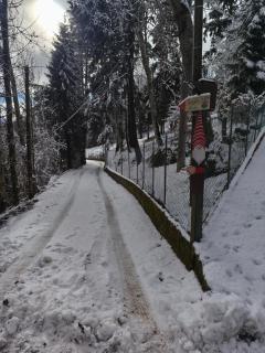 La Casa di Anna nel Parco delle Dolomiti Croce d' Aune 1000 ml slm - 6