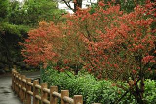 Rainbow Bridge B&B - Sanzhi - 8