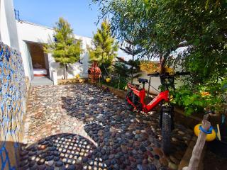 Momo Surf Housse - 7