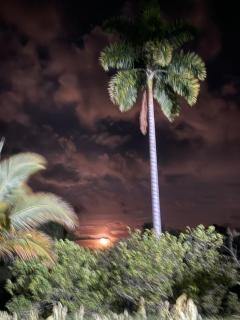 Casa Merak Villa Rural única en contacto con la naturaleza y tranquilidad - 1