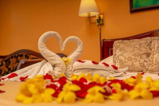 Rainforest Angel Suite - 2