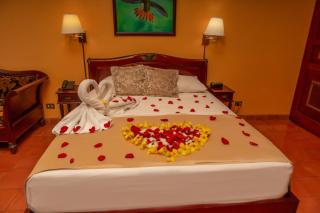Rainforest Angel Suite - 1