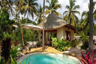 Zanzibar Family Paradise Villa - 6