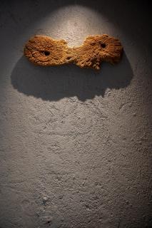 Patacho Brisa Mar - Duplex na Rota Ecológica dos Milagres - 6