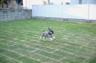 sante 4073 STAY & SAUNA HAKATA ISLAND #1 AROZU - 2