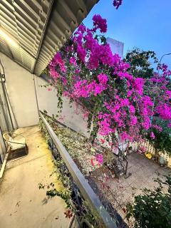 Soluna Pearl Villa in Phan Thiet - 5