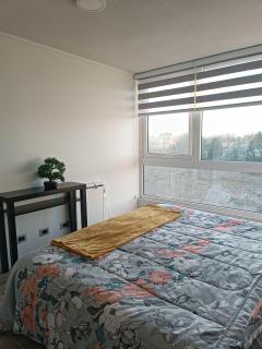 Céntrico departamento 7 - 1