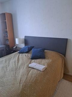 Karjalan vieraskoti Lieksa - 8