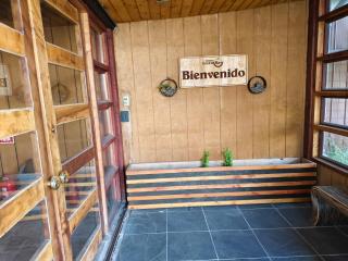 Loft Volcan Villarrica - 5