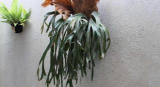 Casa Living Setiabudi Jakarta - 4