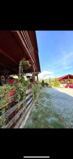 Pensiune La Becu - 9