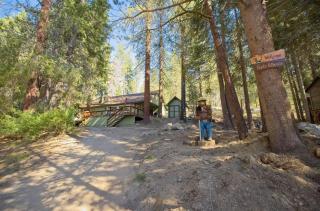 Ponderosa Pines Cabin with Treehouse and Zipline - 4