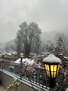 Mountain Nest A Boutique Stay Near Dal Lake, Srinagar - 7