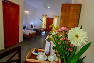 Peacock Lagoon Hideaway - 2