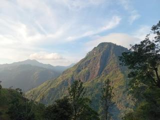 Green Mount Eye Ella - 5