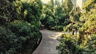 武汉会议中心迎宾馆 - 5