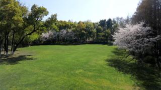 武汉会议中心迎宾馆 - 4