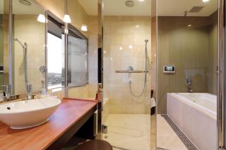 ANA Crowne Plaza Okayama by IHG - 8