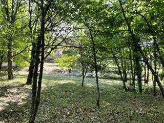 Rez de jardin , climatisé et chauffé au calme proche activités 4 saisons - 7