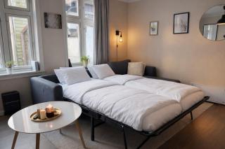Bergen City Retreat - Steps from Bryggen - Norwegians Minimum Age 25 - 6