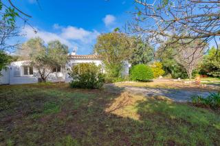 Villa Rosa - Garden & Pool Retreat - 4