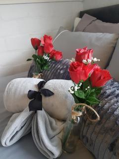 La Petite - Durbanville - Entire Flat - 4